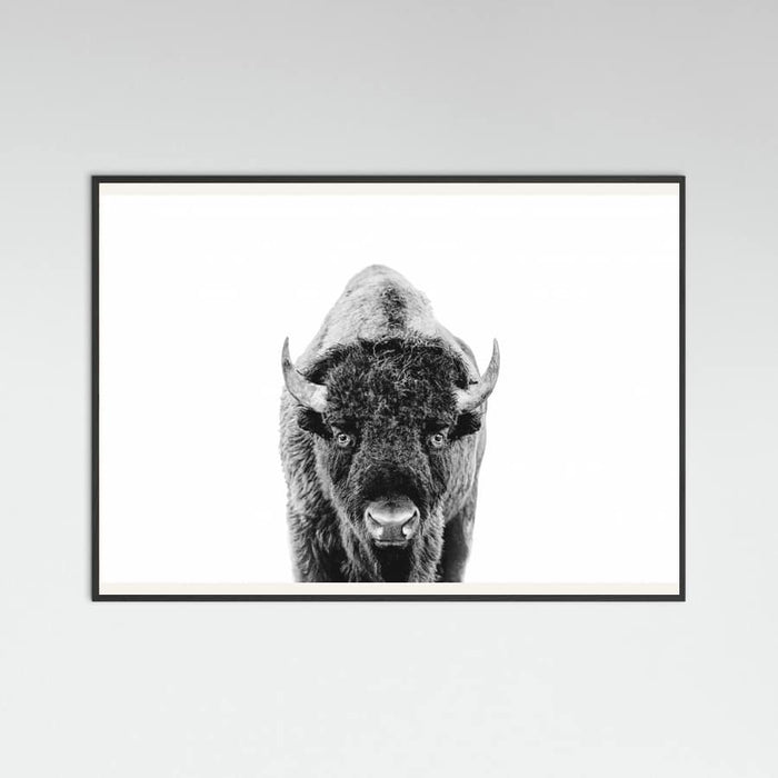 Póster Bison Bw – póster e impresión artística