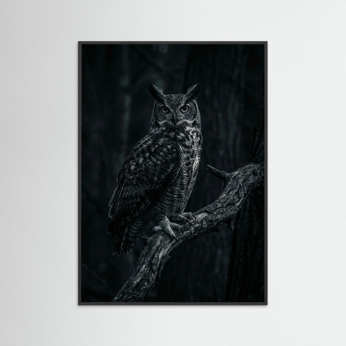 Black Wood Dark Congregation