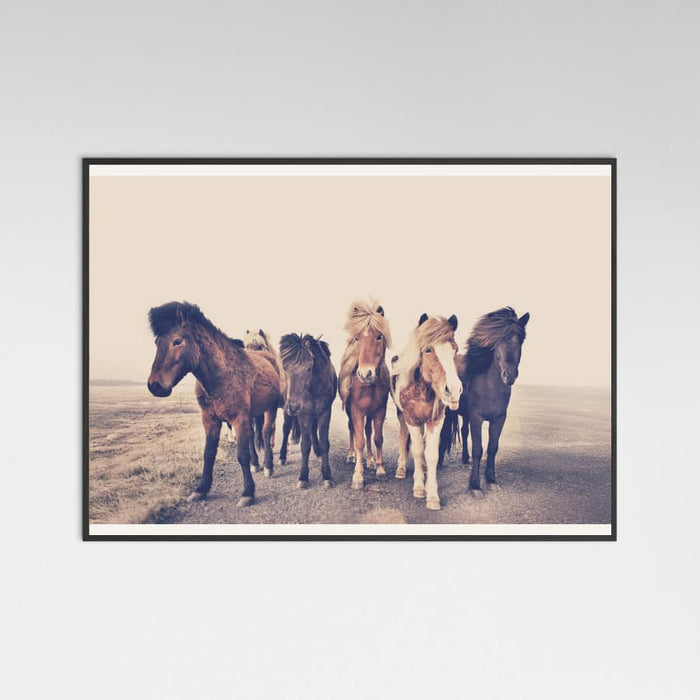 Poster Horses – poster e stampa artistica