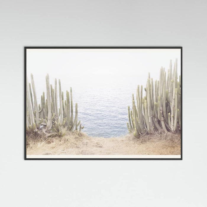 Black Wood Ocean Cactus Poster