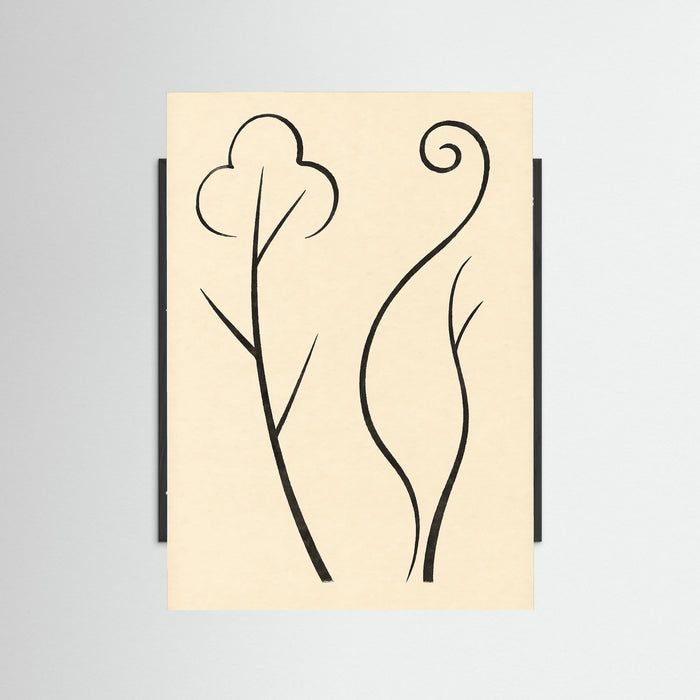 Black Wood Organic Curves