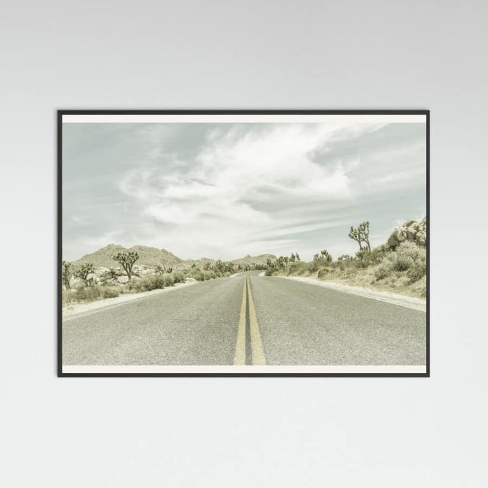 Black Wood Vintage Joshua Trees, Park Boulevard Poster