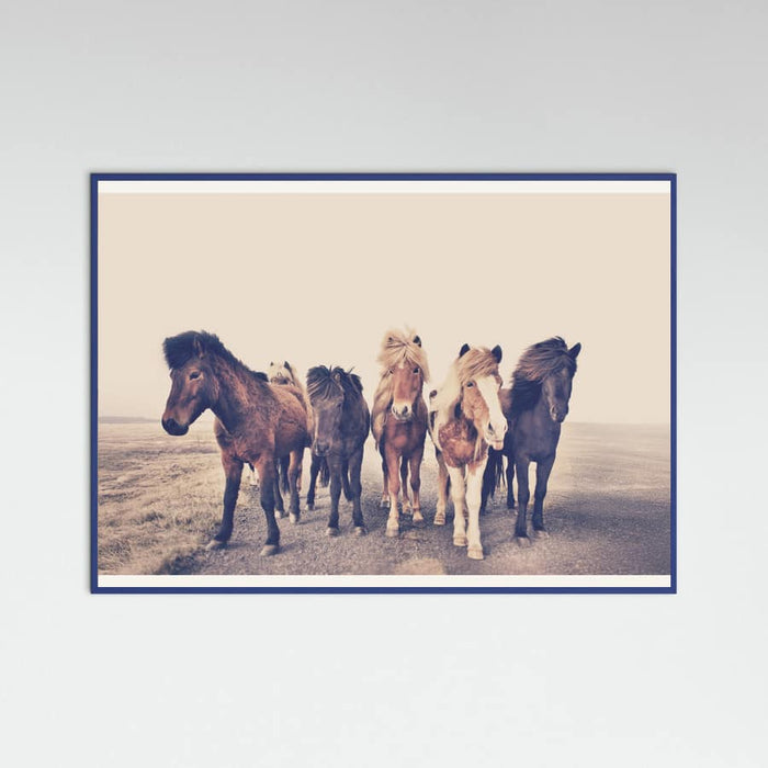 Poster Horses – poster e stampa artistica