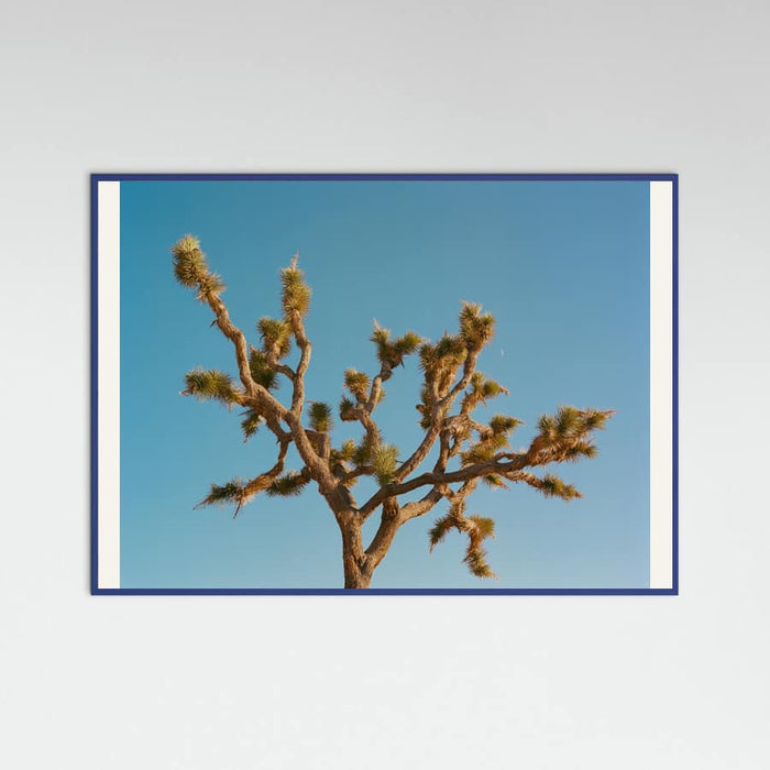 Joshua Tree Moon III Poster – plakat og kunsttryk