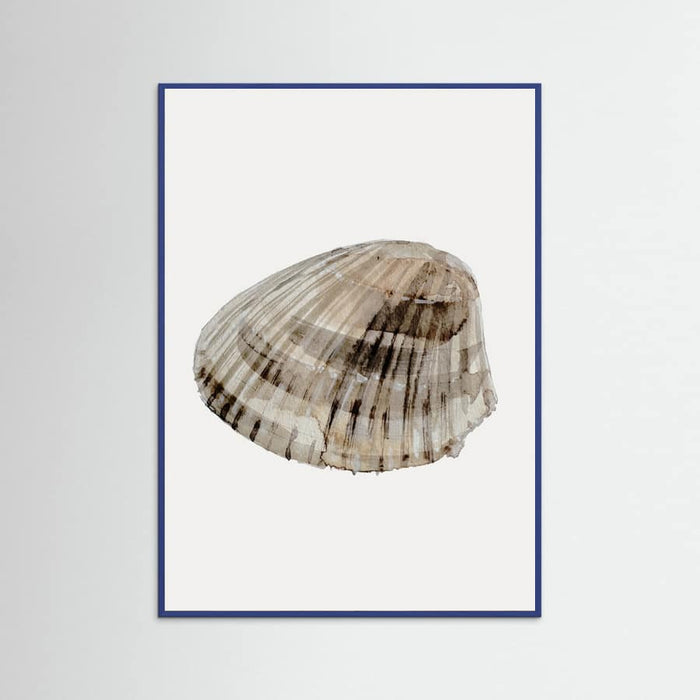 Poster Seashell – poster e stampa artistica