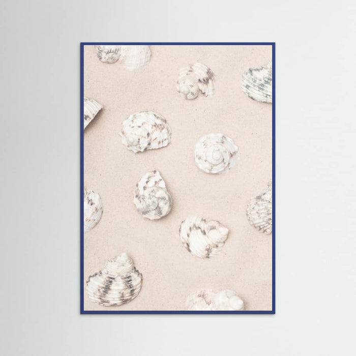 Shells_2 Poster – Poster und Kunstdruck