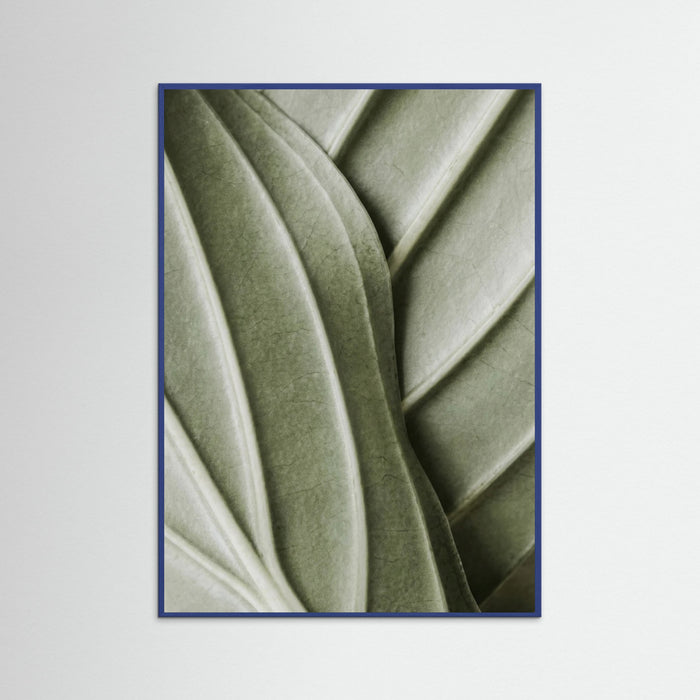 Blue Wood Verdant Folds