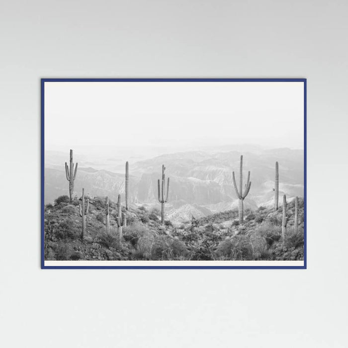 Blue Wood Western Cactus Poster