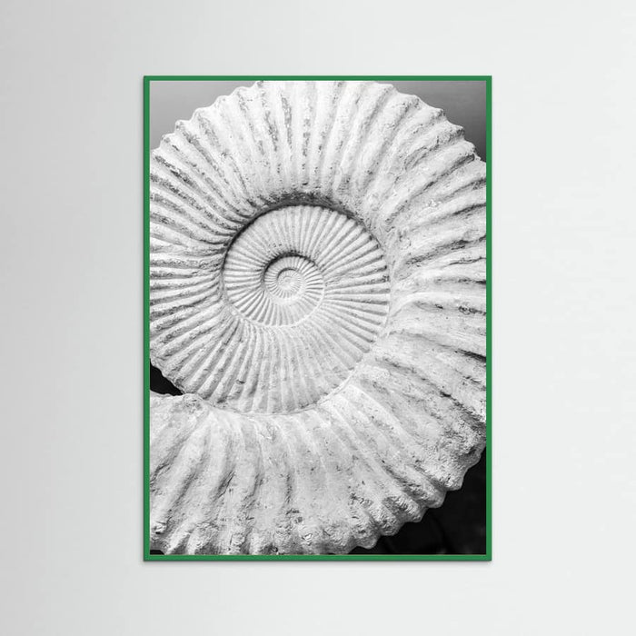 Poster Formula – poster e stampa artistica