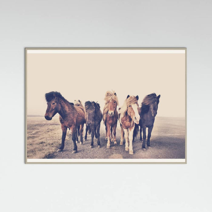 Poster Horses – poster e stampa artistica