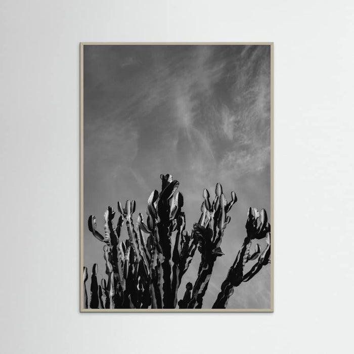 Grey Wood Monochrome Cactus Sky Poster
