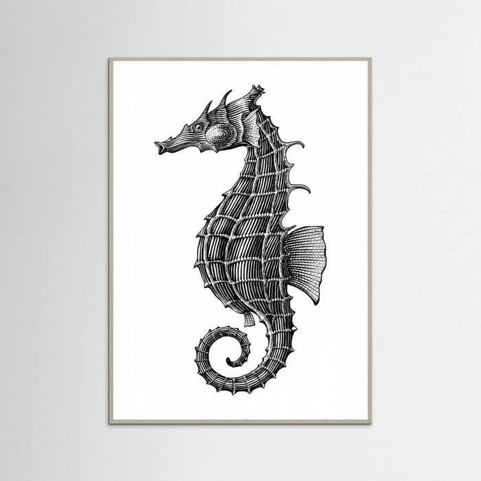 Affiche Seahorse – affiche et impression d’art