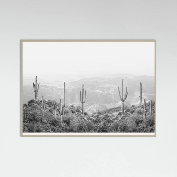Grey Wood Western Cactus Poster