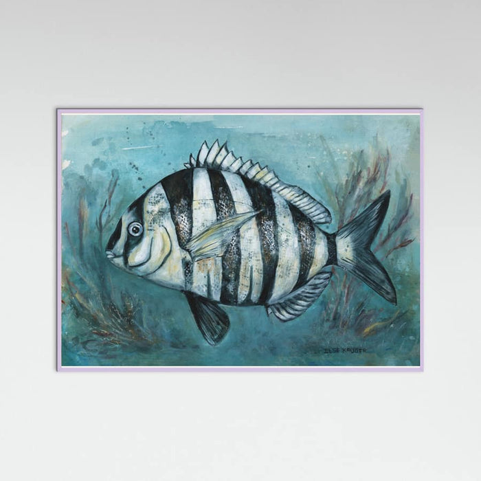 240 Zebra Master Poster – Poster und Kunstdruck