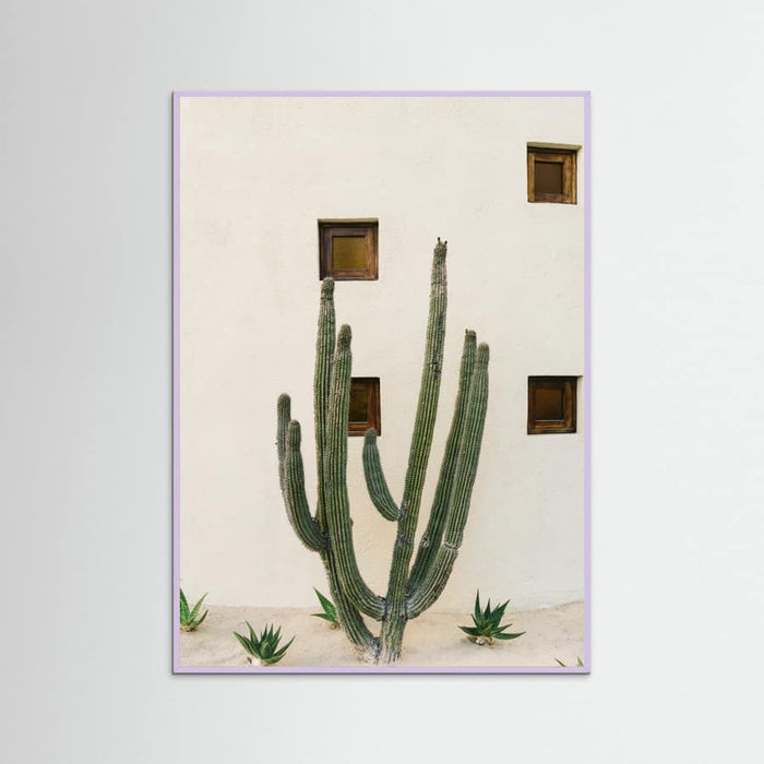 Lilac Wood Cabo Cactus IX Poster