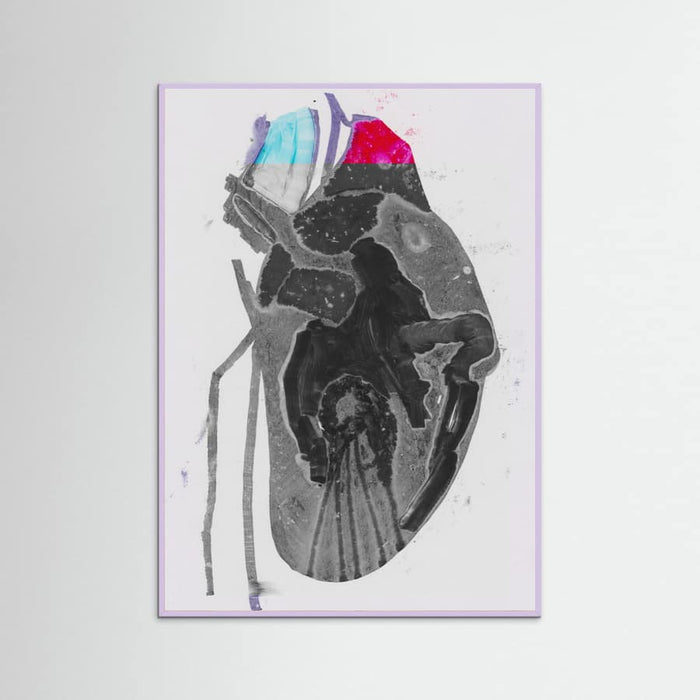 Genomsnitt Poster – Poster und Kunstdruck