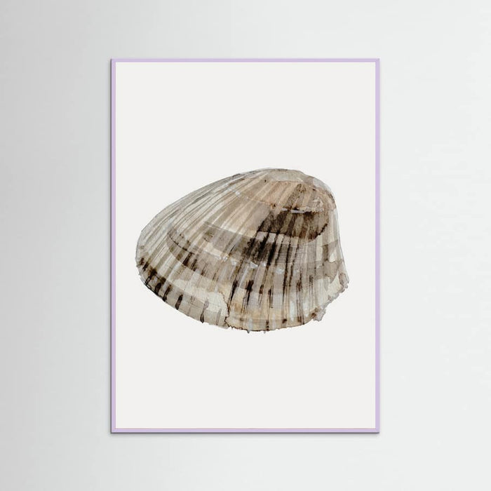 Poster Seashell – poster e stampa artistica
