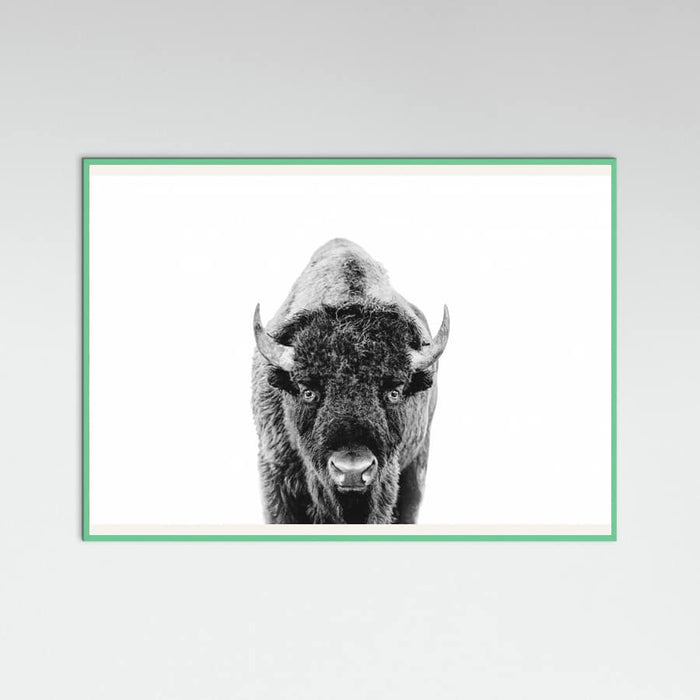 Póster Bison Bw – póster e impresión artística