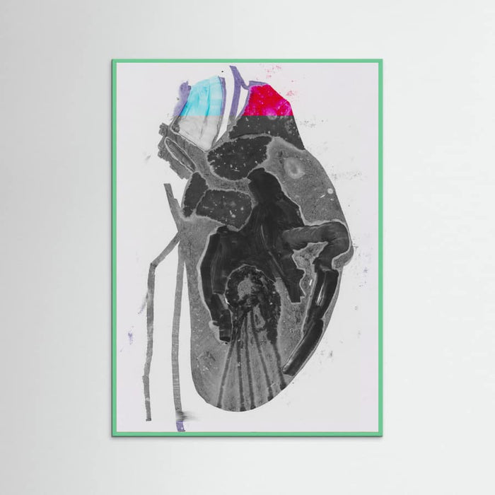 Genomsnitt Poster – Poster und Kunstdruck