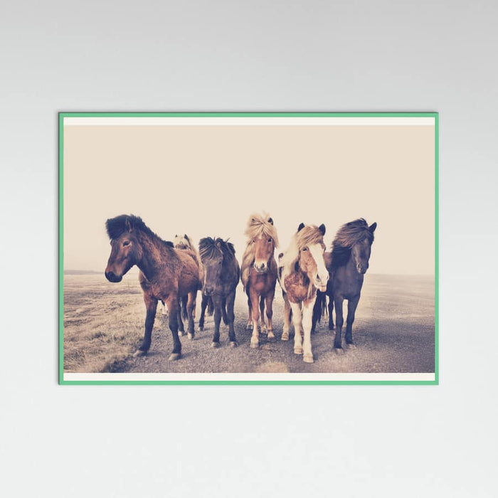 Poster Horses – poster e stampa artistica