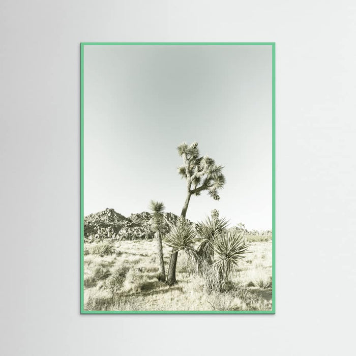 Mint Wood Joshua Tree National Park Vintage Impression Poster