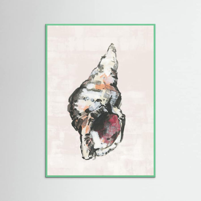 Shell Collector Art Print No 2 Poster – Poster und Kunstdruck