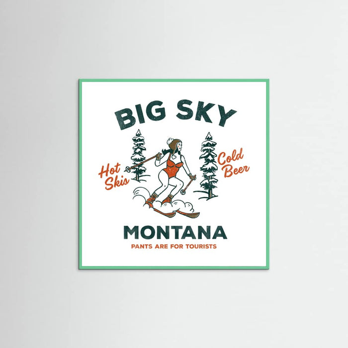 Mint Wood Ski Big Sky Montana: Pants Are For Tourists Poster