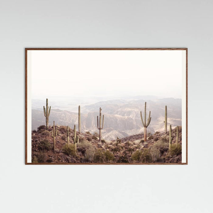 Arizona Valley Poster – plakat og kunsttryk