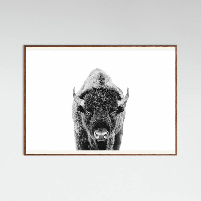 Póster Bison Bw – póster e impresión artística