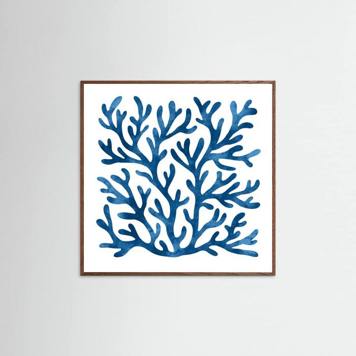 Coral Square II Poster – poster and art print