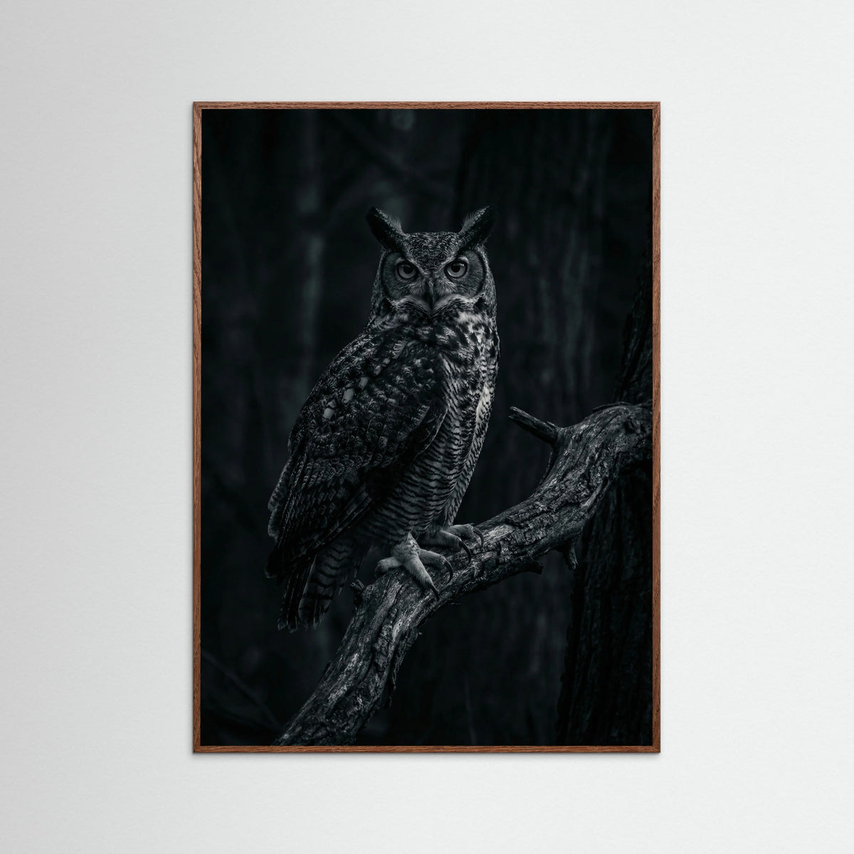 Oak Dark Dark Congregation