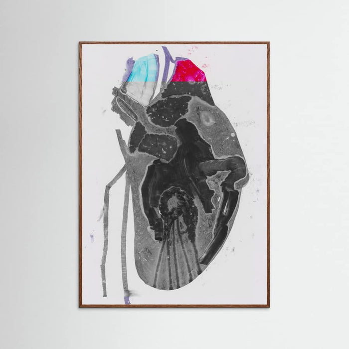 Genomsnitt Poster – Poster und Kunstdruck