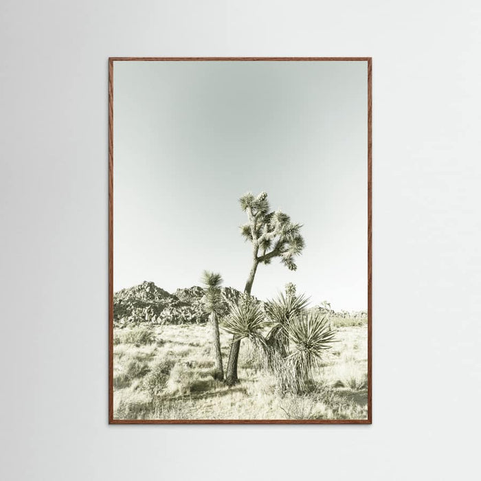 Oak Dark Joshua Tree National Park Vintage Impression Poster