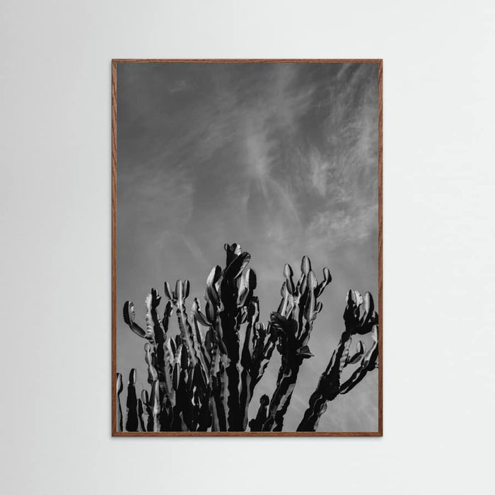 Oak Dark Monochrome Cactus Sky Poster