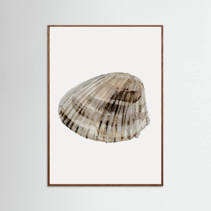 Poster Seashell – poster e stampa artistica