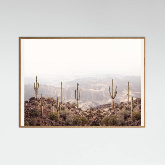 Arizona Valley Poster – plakat og kunsttryk
