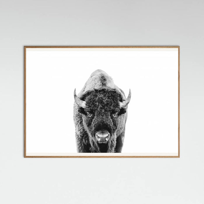 Póster Bison Bw – póster e impresión artística