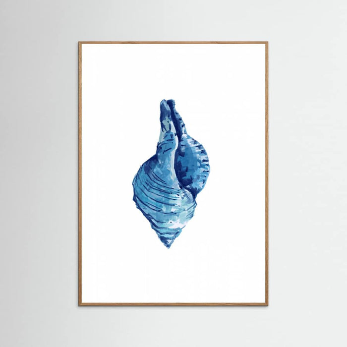 Affiche Blue Seashell On White Background No3 – affiche et impression d’art