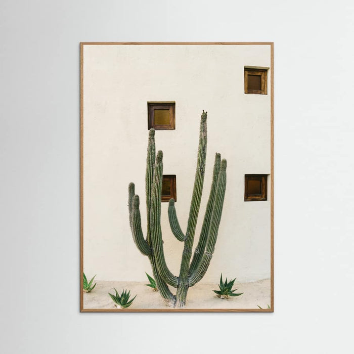 Oak Nature Cabo Cactus IX Poster