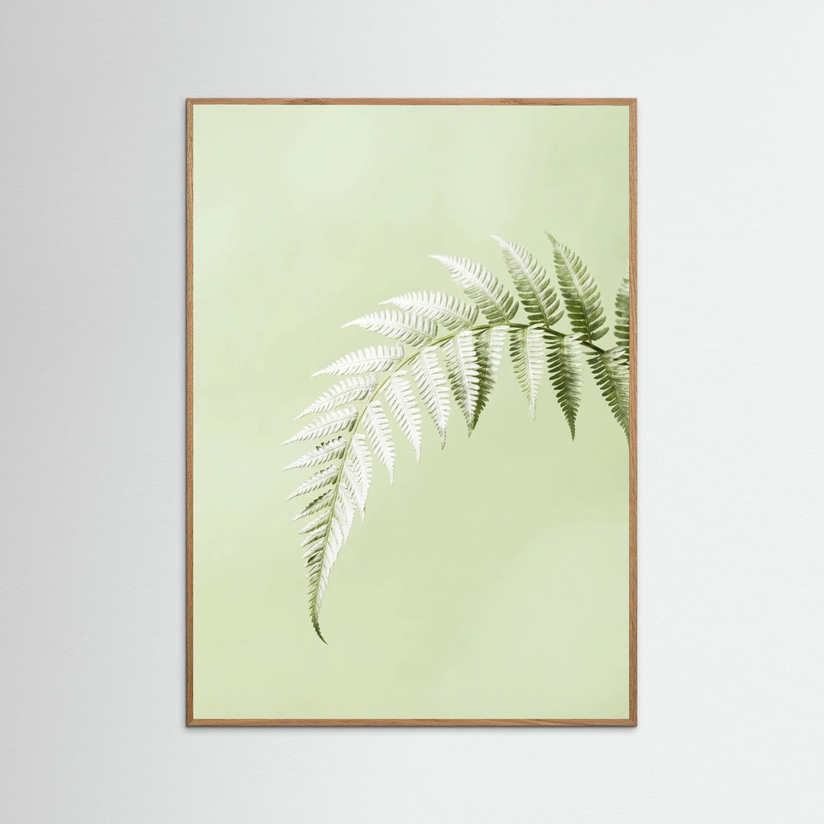 Oak Nature Green Whisper