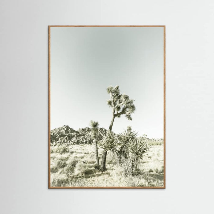Oak Nature Joshua Tree National Park Vintage Impression Poster