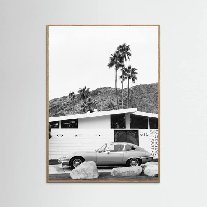 Oak Nature Palm Springs Ride II Poster