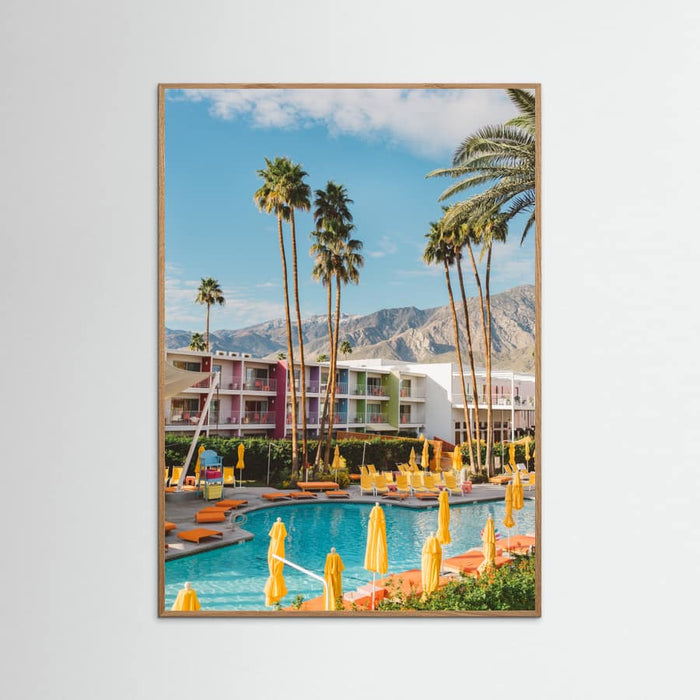 Oak Nature Palm Springs Saguaro Poster