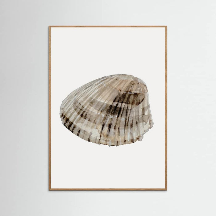 Poster Seashell – poster e stampa artistica