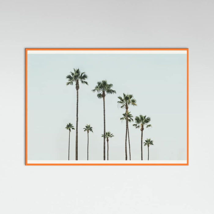 Póster Cali Palms – póster e impresión artística