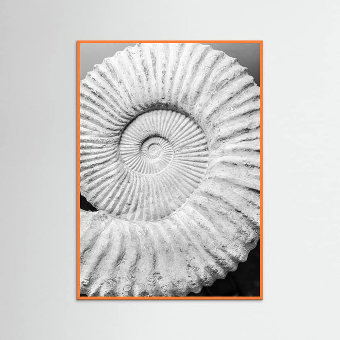 Poster Formula – poster e stampa artistica