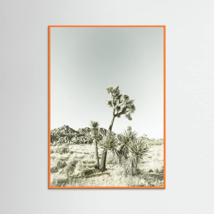 Orange Wood Joshua Tree National Park Vintage Impression Poster
