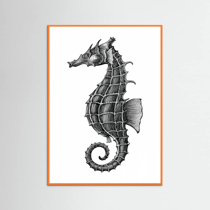 Affiche Seahorse – affiche et impression d’art