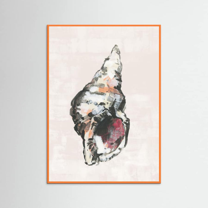 Shell Collector Art Print No 2 Poster – Poster und Kunstdruck