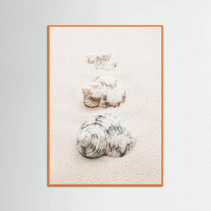 Poster Shells – poster e stampa artistica